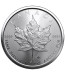 Canadian Silver Maple - 1 oz - 2023