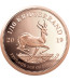 S. African Krugerrand - 1/10 oz - Mixed Years