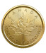 Canadian Gold Maple - 1/10 oz - 2024