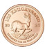 S. African Krugerrand - 1/10 oz - 2025