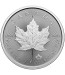 Canadian Silver Maple - 1 oz - 2025