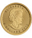 Canadian Gold Maple - 1/10 oz - mixed Years