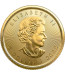Canadian Gold Maple - 1/10 oz - mixed Years
